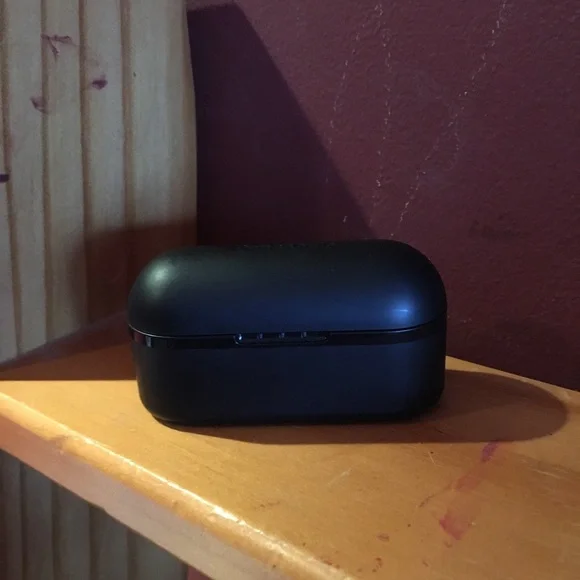 Panasonic True Wireless Earbuds